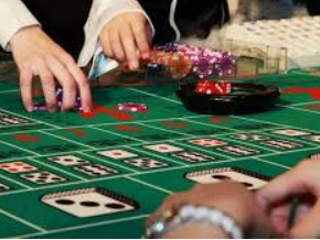 乐天堂app2024最新版